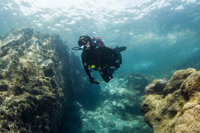 Single Scuba Try-Dive in Puerto del Carmen - small groups - 2 hours - Your max 6 metres: what to expect from a first scuba session