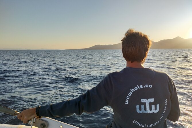 Small Group Dolphin Sunset Tour on Electric Catamaran Lanzarote - Electric Catamaran Comfort and Why It Feels Better at Sunset