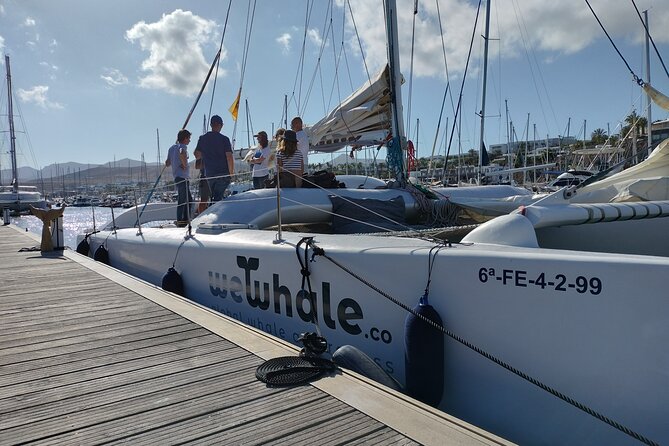 Small Group Dolphin Sunset Tour on Electric Catamaran Lanzarote - If Dolphins Don’t Show: How the Trip Still Stays Worth It