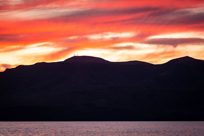 Small Group Dolphin Sunset Tour on Electric Catamaran Lanzarote - Should You Book This Electric Catamaran Dolphin Sunset Tour?
