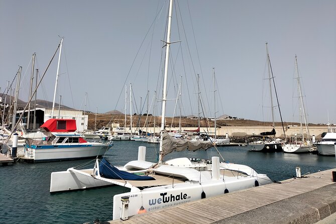 Small Group Dolphin Sunset Tour on Electric Catamaran Lanzarote - Sunset Views Along Lanzarote’s Coastline