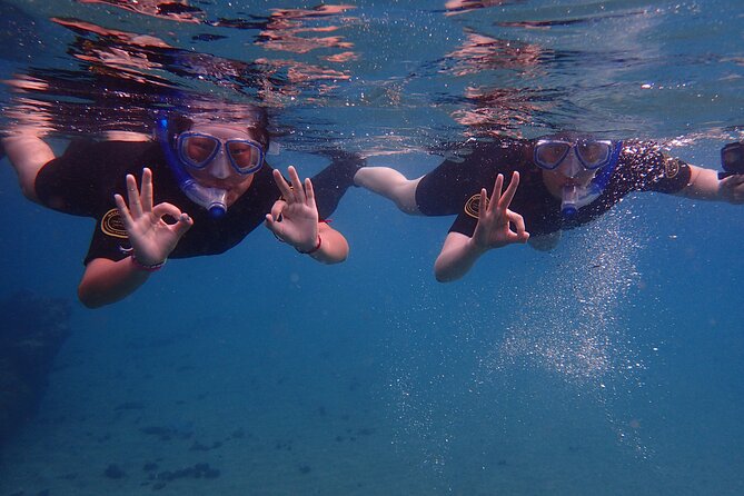 Snorkel in Lanzarote with Guide - The sheltered-bay start makes this snorkel feel beginner-proof