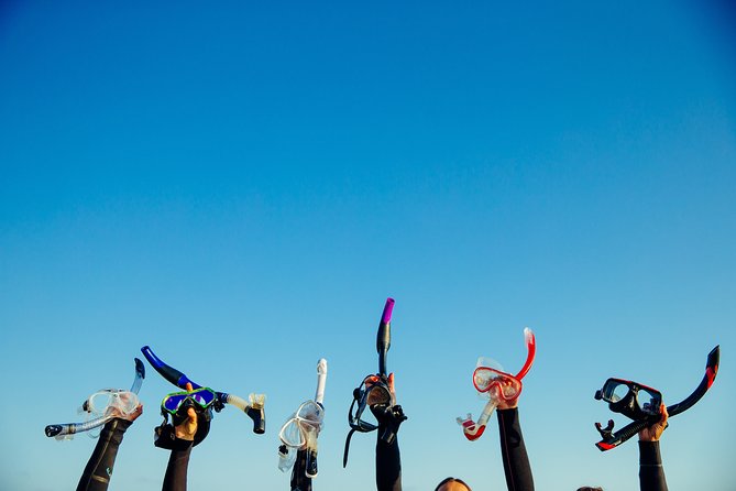 Snorkel in Lanzarote with Guide - Gear rental included: travel light, start faster
