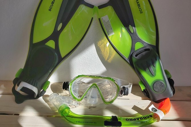 Snorkel in Lanzarote with Guide - Who this tour suits best (and who might want a different option)