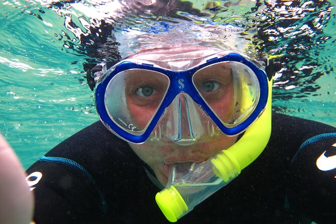 Snorkeling in Costa Teguise: 2-Hour Guided Tour in Lanzarote - Key highlights at a glance