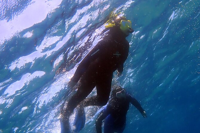 Snorkeling in Costa Teguise: 2-Hour Guided Tour in Lanzarote - Why Costa Teguise makes snorkeling an easy win
