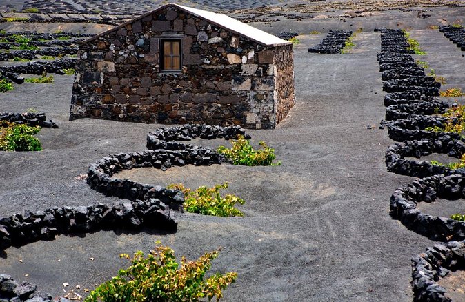 South Route Natural pools, Las Salinas and La Geria - Key points to know before you go
