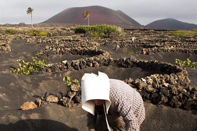 South Route Natural pools, Las Salinas and La Geria - Should you book this south Lanzarote tour?