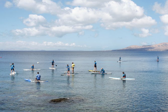 Stand up Paddle Course - Price and value: why $84.11 can make sense here