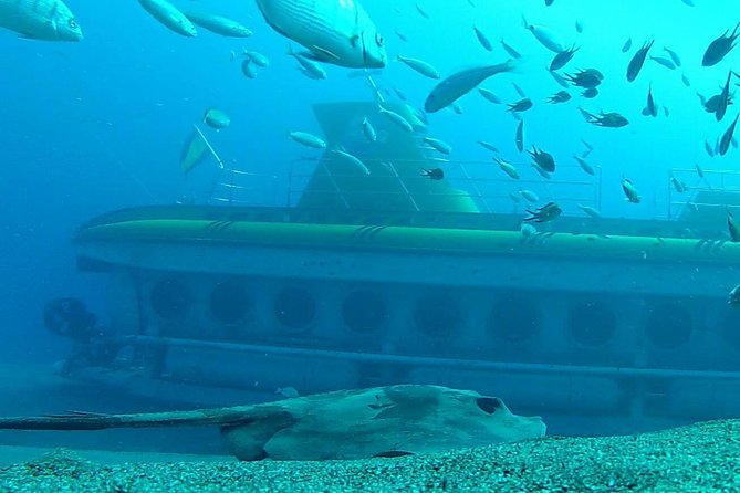 Submarine Safaris Lanzarote - Getting there in Lanzarote: free bus and the cruise-ship reality