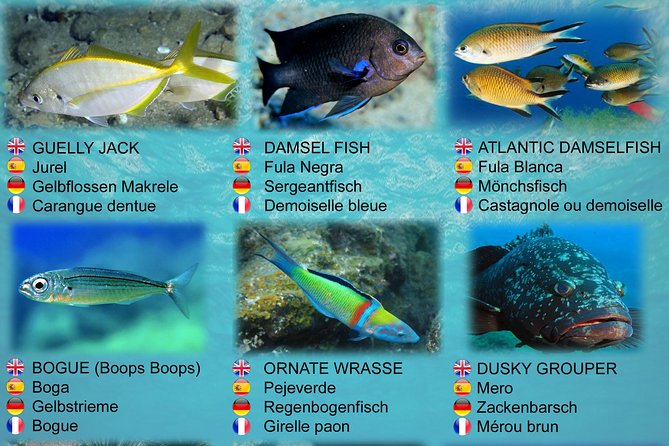 Submarine Safaris Lanzarote - Calero Marinas and Puerto Calero: the above-water part you should use