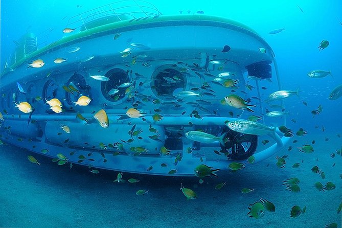 Submarine Safaris Lanzarote - Who should book: families, adults, and anyone with claustrophobia worries