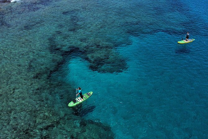 SUP Standup Paddling and Snorkeling Shared Experience - Key Things You’ll Notice