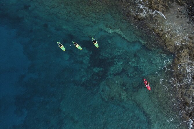 SUP Standup Paddling and Snorkeling Shared Experience - Price and Value: What You’re Actually Paying For