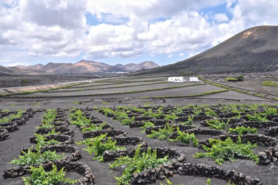 Timanfaya And El Golfo For Cruise Passengers (Mornings) - El Golfo’s Green Lagoon: Film-Set Views and Why the Color Varies