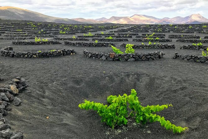 Timanfaya & Lanzarote Volcano Experience - Timanfaya stop two: the Route of the Volcanoes (photo stops from inside)