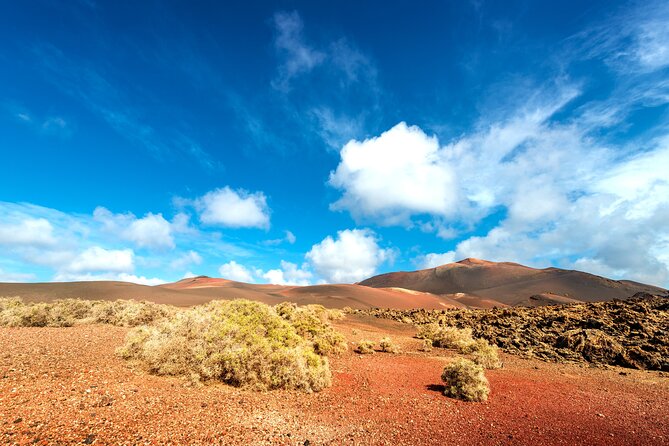 Timanfaya & Lanzarote Volcano Experience - Optional camel ride: worth it, and what to expect