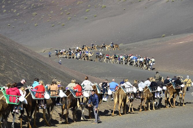 Timanfaya Park & Camel Ride (extra cost) - Short South Tour - The bus ride experience: comfort helps, but crowds are part of the deal