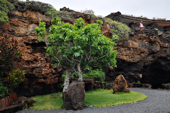 Tour of Jameos del Agua, Cueva de los Verdes and Viewpoint from the cliffs - Haría’s palm valley and the story of island farming