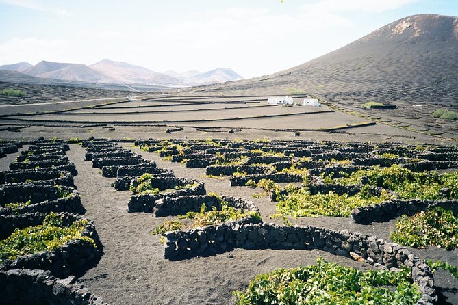 Tour to Timanfaya, La Geria and La Laguna Verde - Camel Shed Stop: Optional Ride (Extra Cost) or Small Museum