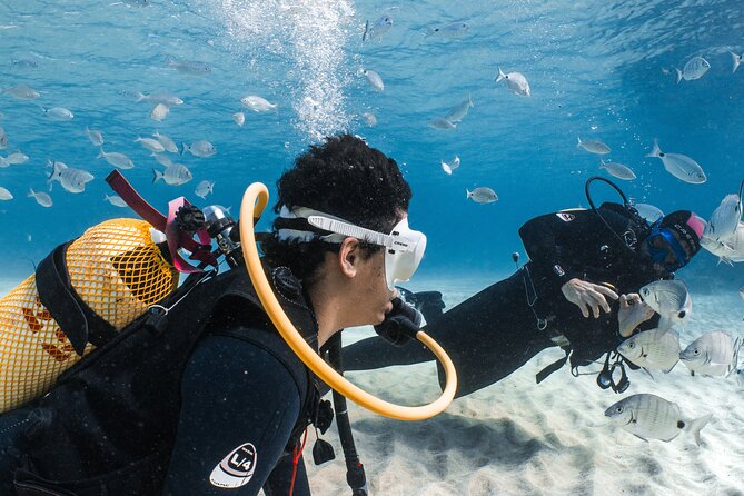 Try Scuba Diving | 1 dive - A 2.5-hour SCUBA trial built for first-timers in Costa Teguise