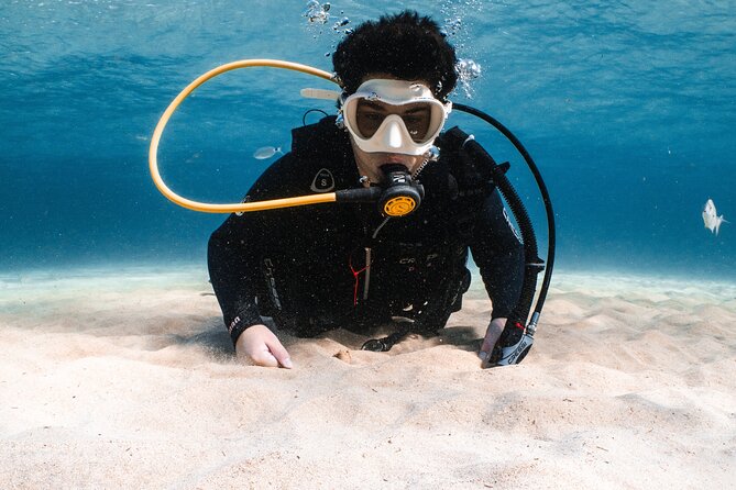 Try Scuba Diving | 1 dive - Photos cost extra: plan for the 25-euro decision
