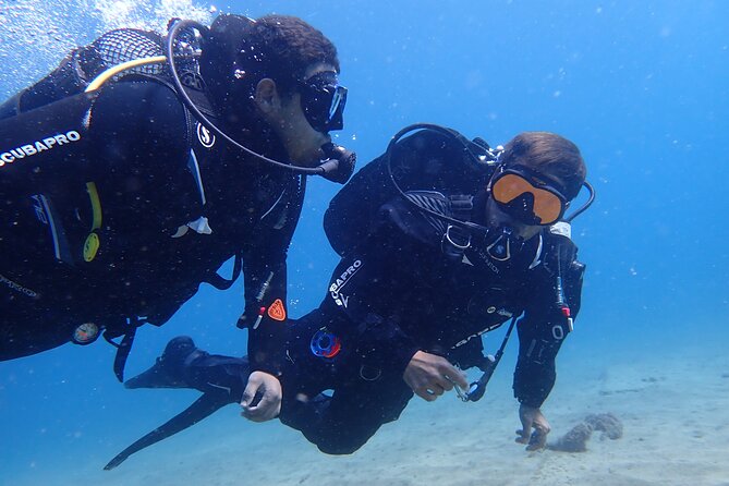 Try Scuba Diving in Lanzarote (No experience needed) - Try-Scuba in Lanzarote: Playa Chica and a PADI Lesson That Actually Feels Simple