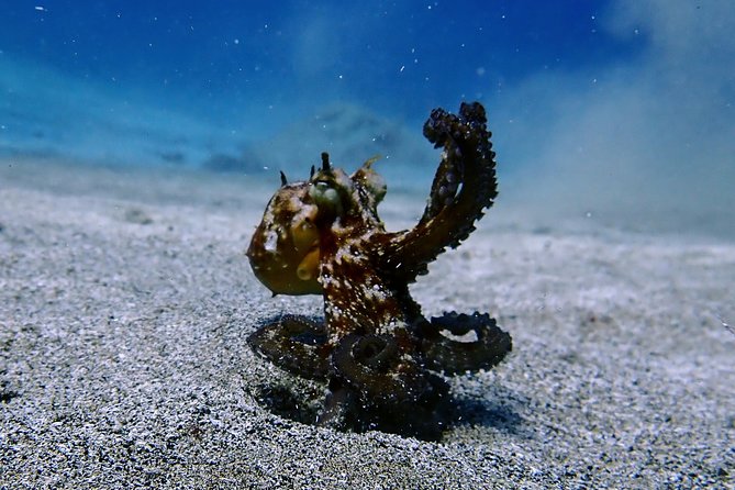 Try Scuba Diving with 2 Ocean Dives - The weather factor: why “good weather required” matters