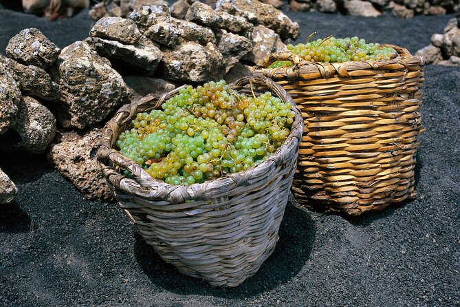 Vineyards of La Geria hiking tour - Pickup and getting there: simple if you’re in the right zones