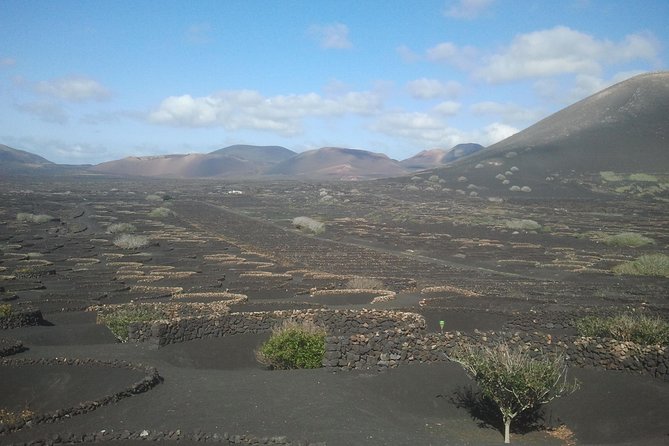 Vineyards of La Geria hiking tour - Starting point at Bodegas Rubicón: a winery stop with real Lanzarote personality