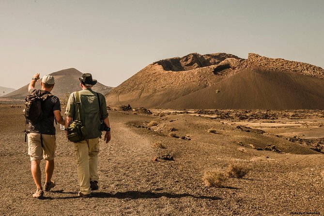Volcano Hike - Timanfaya eruptions - Key Highlights Worth Planning Around