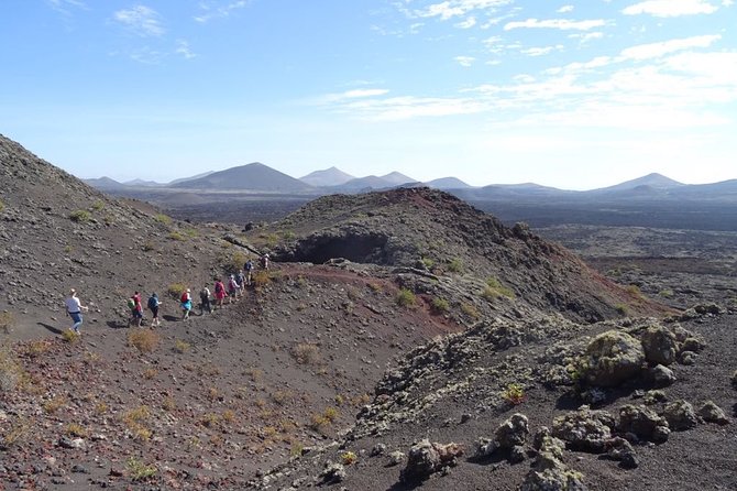 Volcano Trekking Tour (Timanfaya eruptions) - Crater Rim Views and Lava Fields: Why the Guide’s Stops Matter