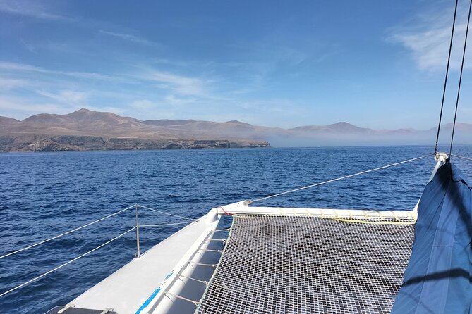 Whale & Dolphin Observation on Silent Catamaran with Hydrophone - Silent and emission-free: what that changes for your whale trip