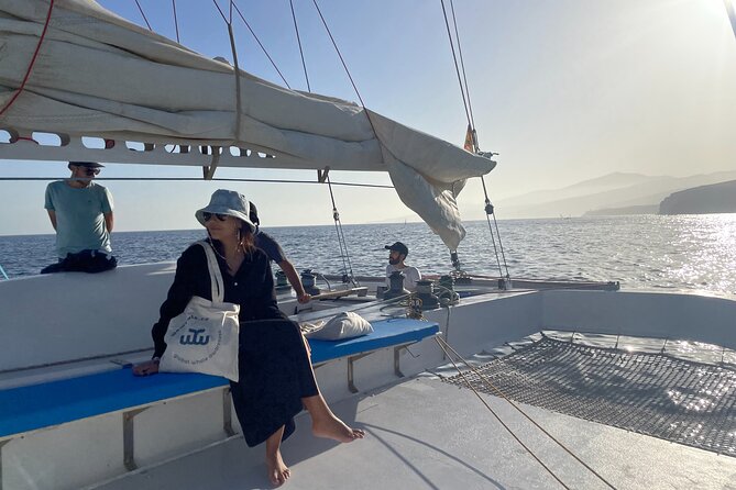 Whale & Dolphin Observation on Silent Catamaran with Hydrophone - Whale and dolphin spotting at a respectful distance