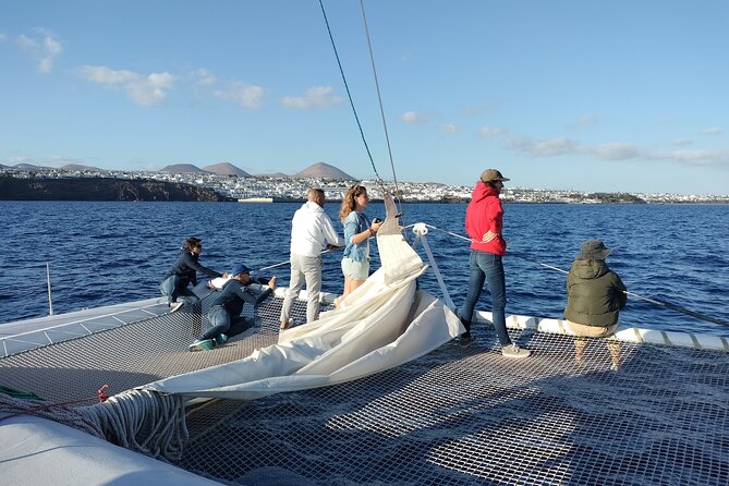 Whale & Dolphin Observation on Silent Catamaran with Hydrophone - Conservation angle: where your money goes