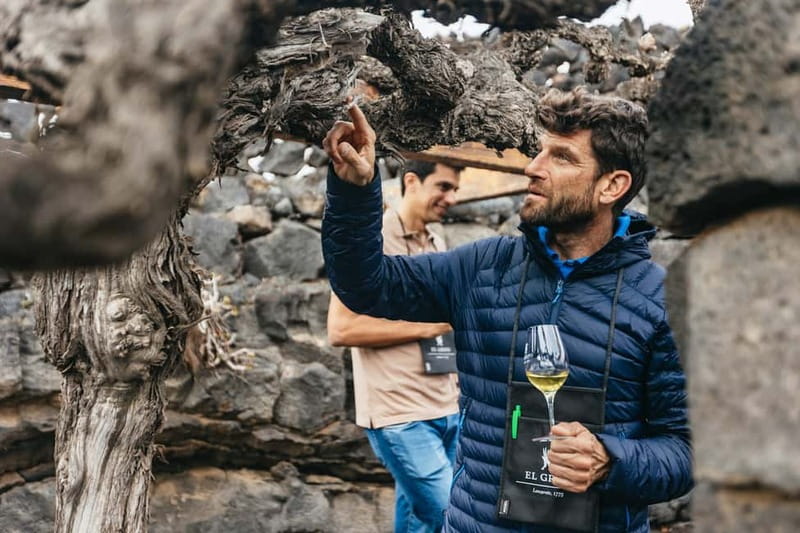 Wine Lovers: Wine Tasting Tour at El Grifo Bodega Lanzarote - Entering El Grifo Bodega: a small group with a clear rhythm