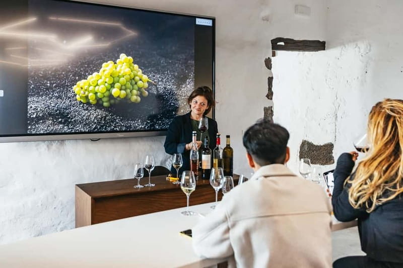 Wine Lovers: Wine Tasting Tour at El Grifo Bodega Lanzarote - Getting to the vineyards and grapes: what Lanzarote does differently