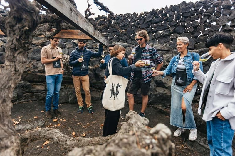 Wine Lovers: Wine Tasting Tour at El Grifo Bodega Lanzarote - Price and value: why about $57 can be a smart buy