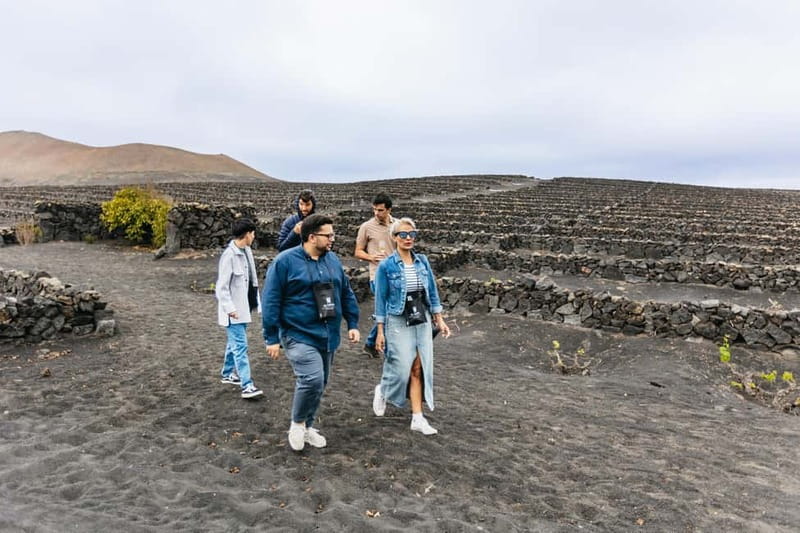 Wine Lovers: Wine Tasting Tour at El Grifo Bodega Lanzarote - Logistics that actually matter: plan your ride and arrive ready