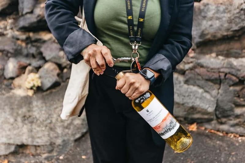 Wine Lovers: Wine Tasting Tour at El Grifo Bodega Lanzarote - Who should book this El Grifo Wine Lovers tour