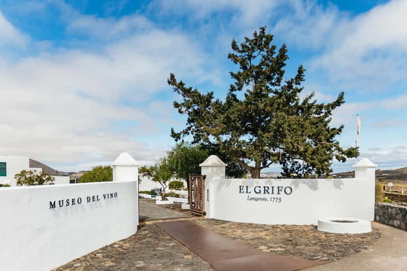 Wine Lovers: Wine Tasting Tour at El Grifo Bodega Lanzarote - Should you book it? My honest decision guide